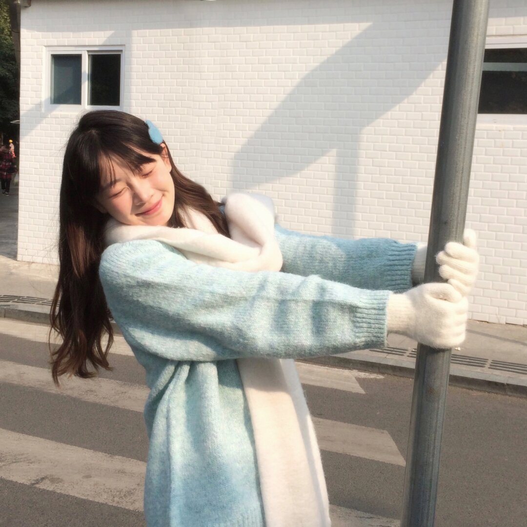 《候鸟归途》海报